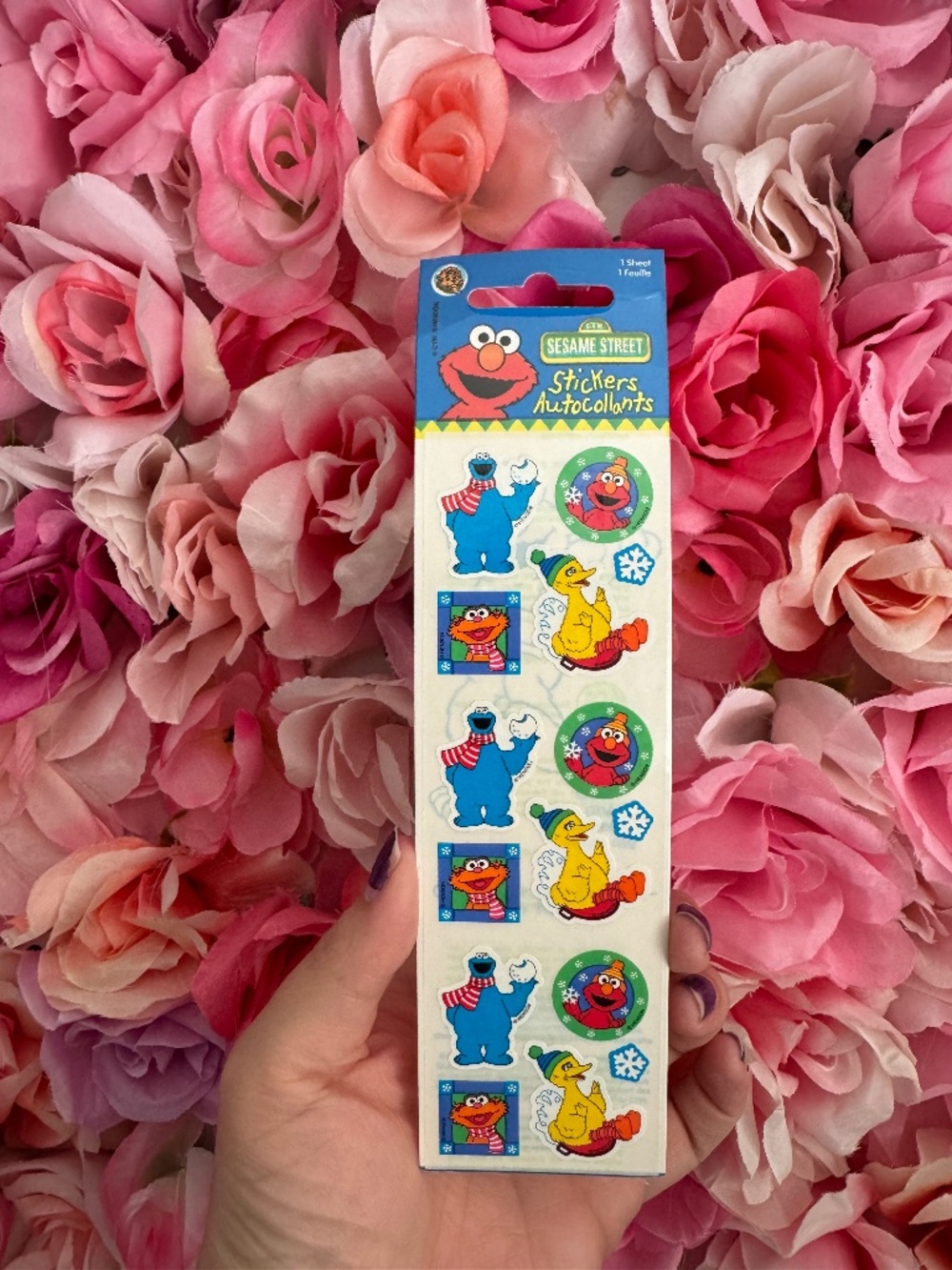 VINTAGE Sandylion Winter Sesame Street Sticker Pack (in packaging)